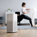 The Benefits of Air Purifying Ionizers and Professional Installation Services